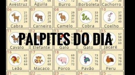 palpite do dia jogo do bicho de hoje